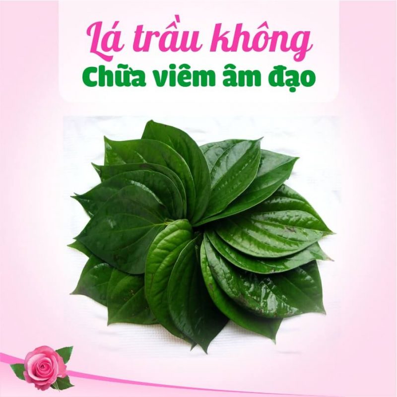 Viêm nhiễm phụ khoa có thể dẫn đến vô sinh