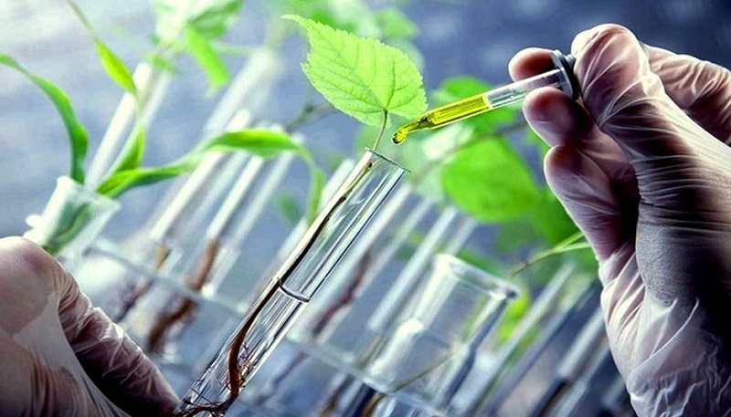 Có nên làm đẹp da bằng tế bào gốc không