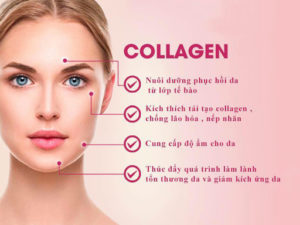 Tế bào gốc phục hồi da – lựa chọn hàng đầu trong lĩnh vực làm đẹp