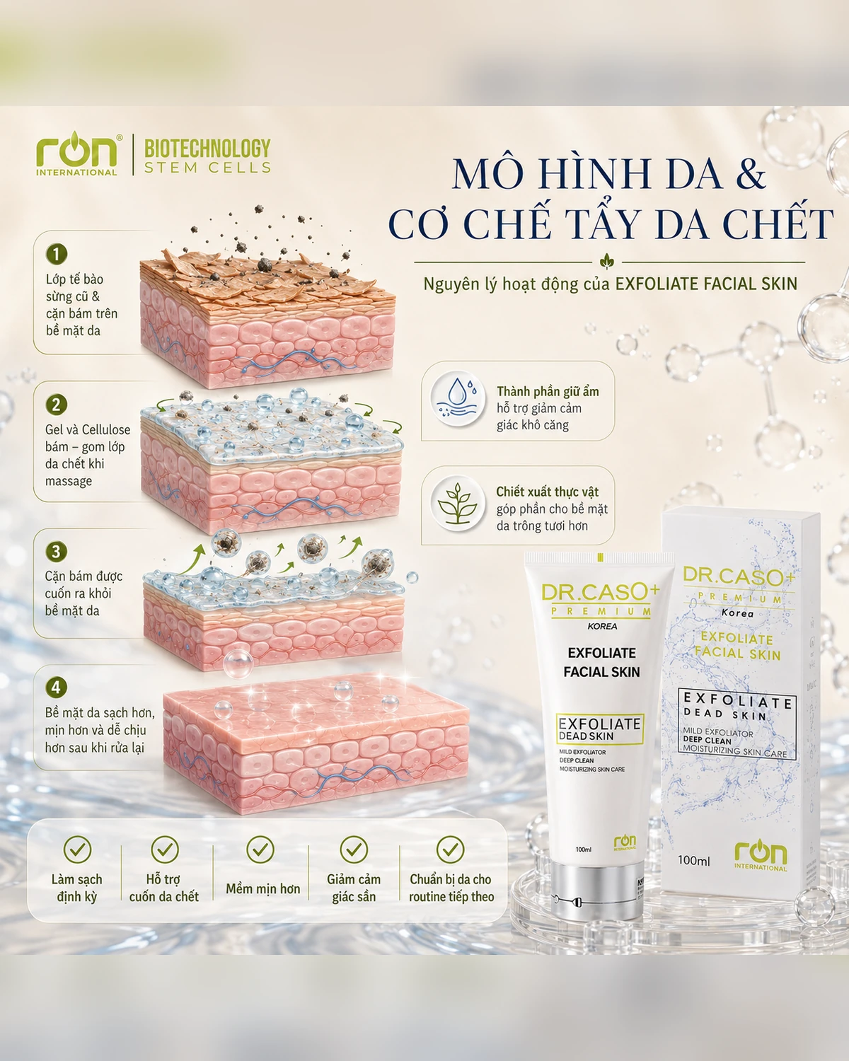Mô hình da và cơ chế tẩy tế bào chết