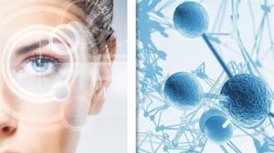 tế bào gốc ứng dụng trong làm đẹp 