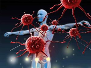 bản chất tế bào gốc theo y học phương tây