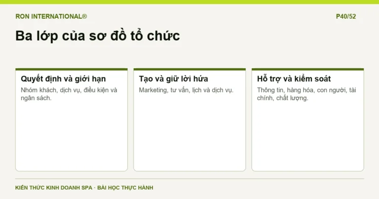 Ba lớp của sơ đồ tổ chức trong giáo trình Marketing Spa RON