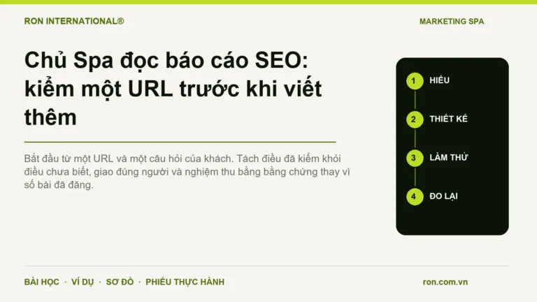 Chủ Spa đọc báo cáo SEO: kiểm một URL trước khi viết thêm